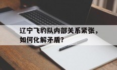 爱游戏亚洲官网-辽宁飞豹队内部关系紧张，如何化解矛盾？的简单介绍