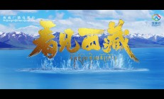 爱游戏在线登录-西藏队上演逆袭，实力不容小觑的简单介绍