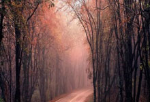 天津泰达不敌上海申花，遭遇连败