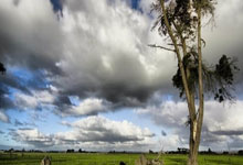 曼城主场击败阿森纳，保持不败战绩