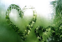 冰岛队境况艰难，需多加努力