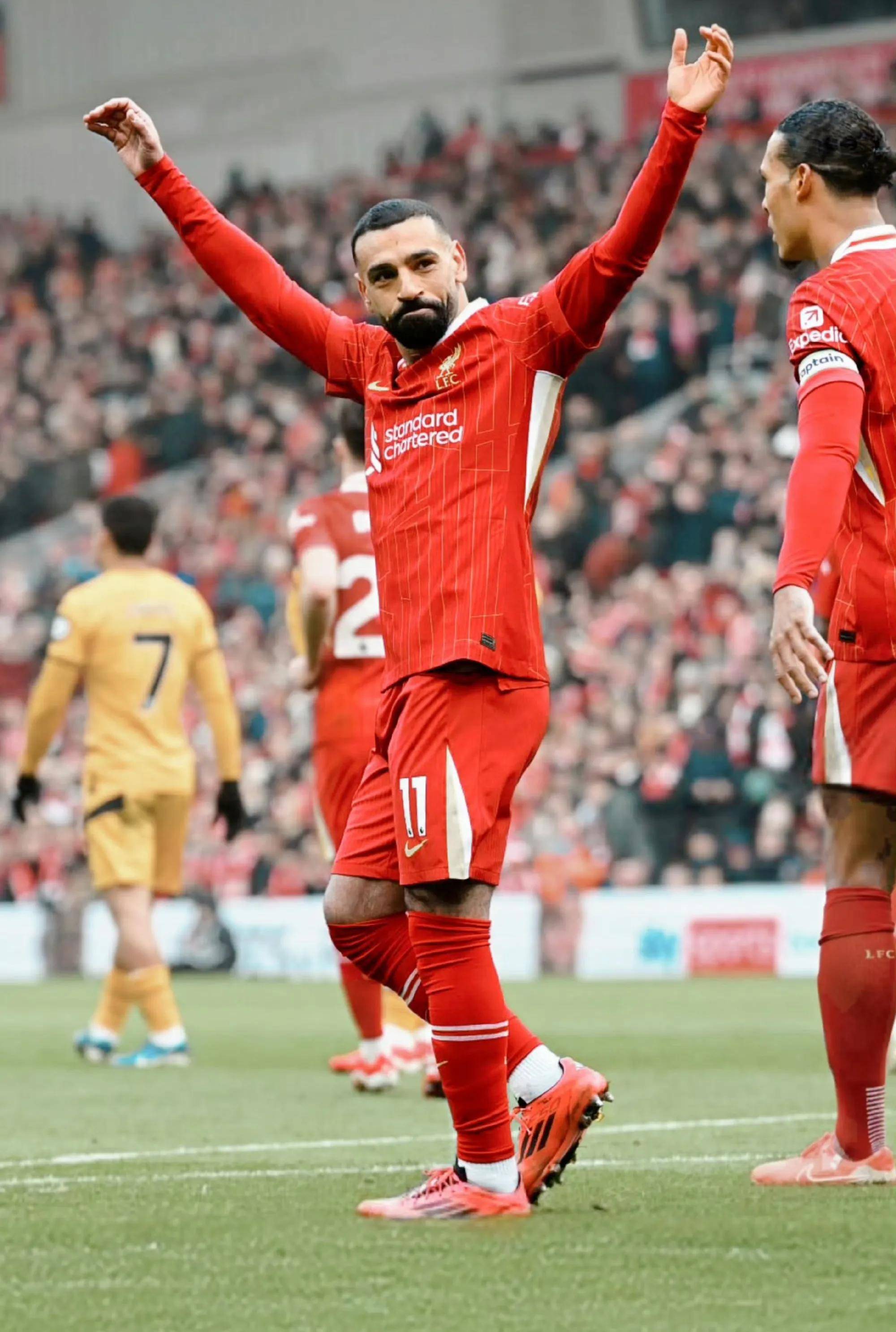 关于AC米兰引进巴西新秀，欧冠佳绩在望的信息