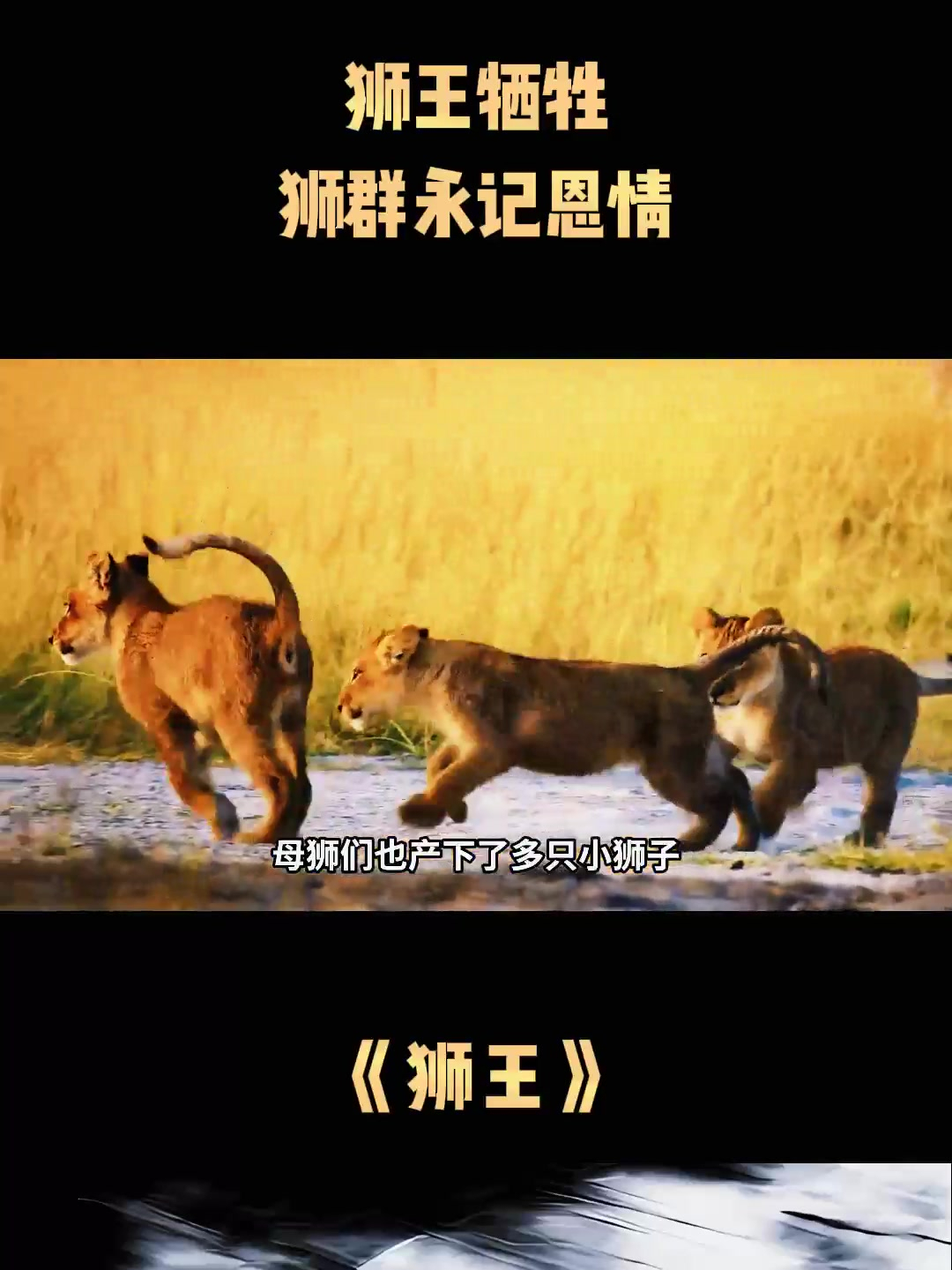 雄狮咆哮！汉堡力克对手，取得难以置信的胜利的简单介绍