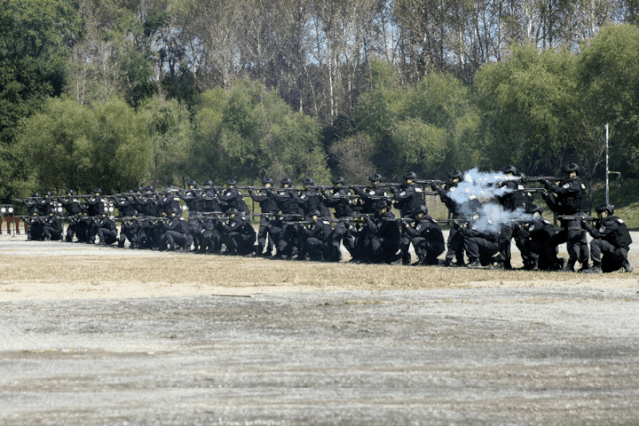 关于精英集结：巅峰对战，场面惊心动魄的信息