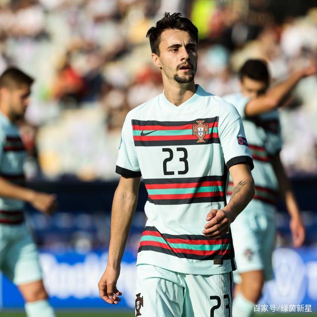 关于葡萄牙法比奥带伤奉献献身球场的信息